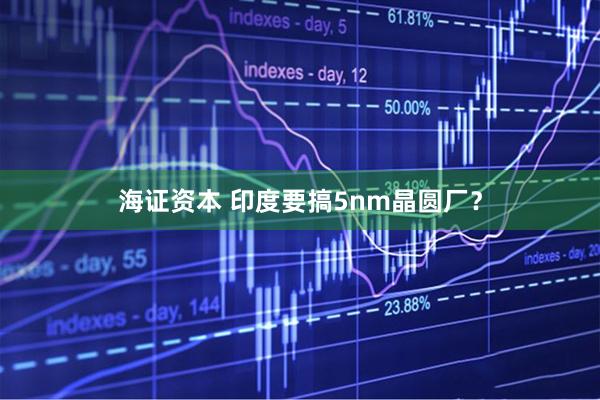 海证资本 印度要搞5nm晶圆厂？