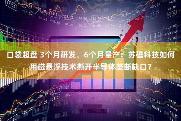 口袋超盘 3个月研发、6个月量产：苏磁科技如何用磁悬浮技术撕开半导体垄断缺口？