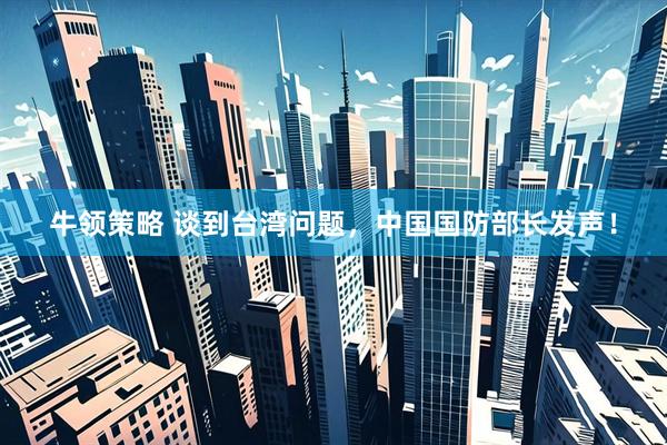 牛领策略 谈到台湾问题，中国国防部长发声！