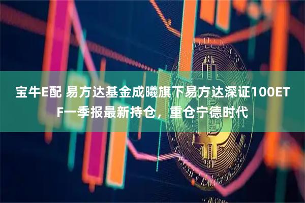 宝牛E配 易方达基金成曦旗下易方达深证100ETF一季报最新持仓，重仓宁德时代