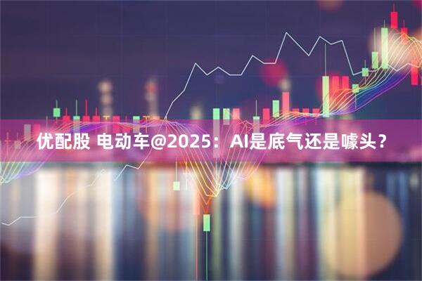 优配股 电动车@2025：AI是底气还是噱头？