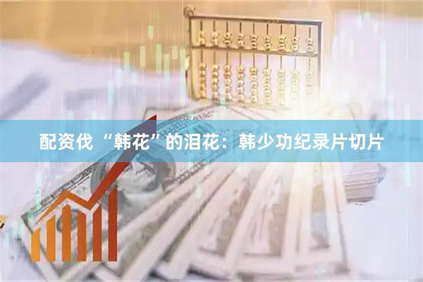 配资伐 “韩花”的泪花：韩少功纪录片切片