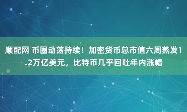 顺配网 币圈动荡持续！加密货币总市值六周蒸发1.2万亿美元，比特币几乎回吐年内涨幅