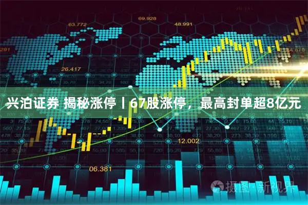 兴泊证券 揭秘涨停丨67股涨停，最高封单超8亿元