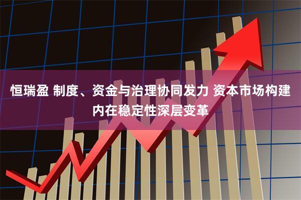 恒瑞盈 制度、资金与治理协同发力 资本市场构建内在稳定性深层变革