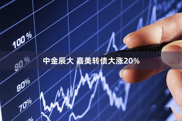 中金辰大 嘉美转债大涨20%