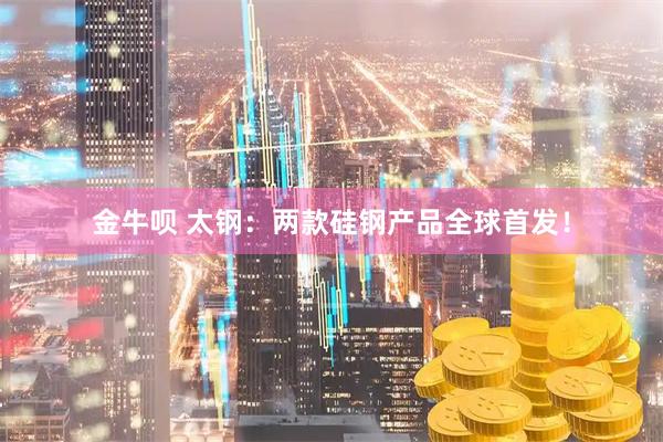 金牛呗 太钢：两款硅钢产品全球首发！