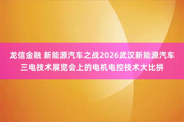 龙信金融 新能源汽车之战2026武汉新能源汽车三电技术展览会上的电机电控技术大比拼