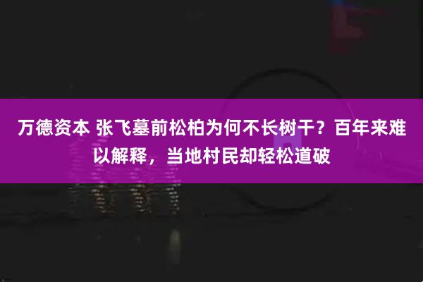 万德资本 张飞墓前松柏为何不长树干？百年来难以解释，当地村民却轻松道破