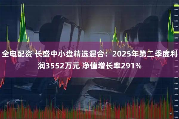 全电配资 长盛中小盘精选混合：2025年第二季度利润3552万元 净值增长率291%