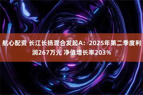 航心配资 长江长扬混合发起A：2025年第二季度利润267万元 净值增长率203%